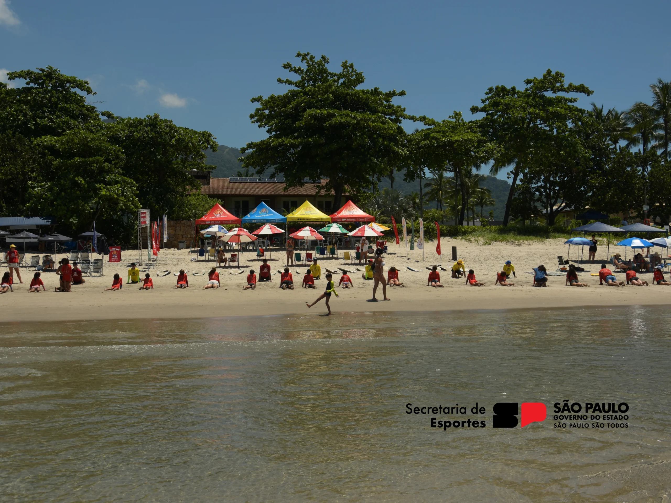 surf para todos – Orllis Web 303-02-2026 15-08-11